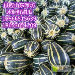 山东潍坊冰糖籽甜瓜产地直销
