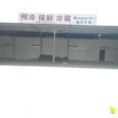 西昌葡萄价格公允，礼州尹雄冷库代办