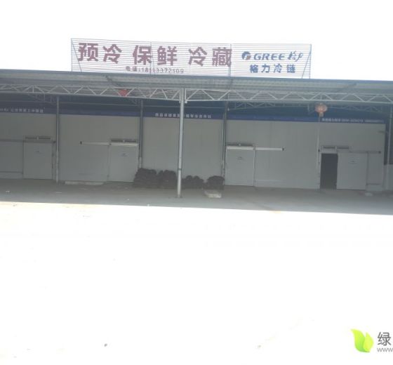 2020年四川西昌巨峰葡萄价格