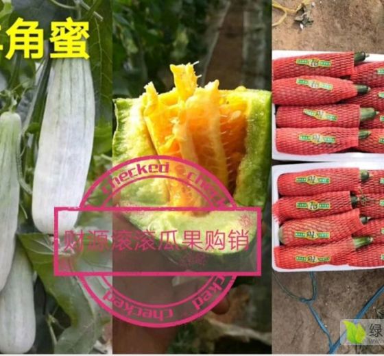 2020年山东寒亭羊角蜜价格