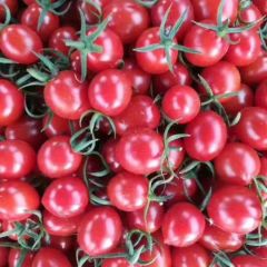 圣女果，千禧，粉贝贝，樱桃小番茄