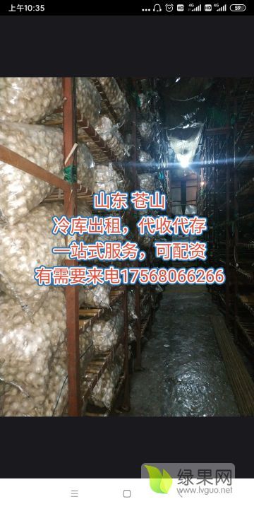 2020年山东兰陵苍山大蒜价格