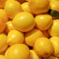 沂蒙山油桃，长期供货，价格最低