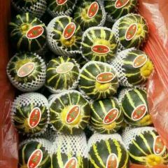 潍坊冰糖子甜瓜产地批发价格便宜