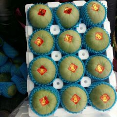 山东潍坊绿宝甜瓜产地批发价格便宜