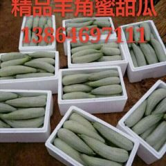 山东潍坊羊角蜜甜瓜产地批发价格便宜