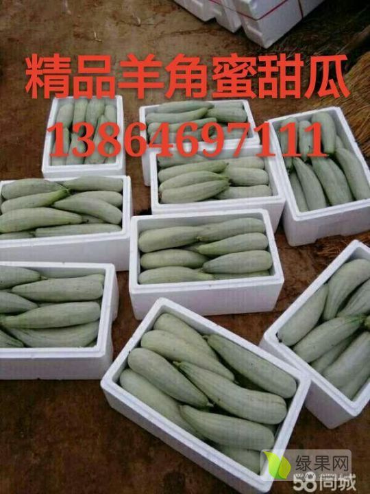 2020年山东寒亭羊角蜜价格