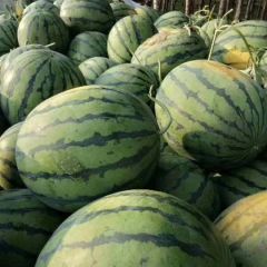 冬瓜西瓜黄瓜代办