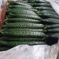 代收全国绿色蔬菜