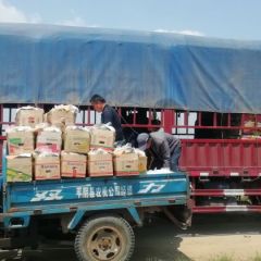 滴灌浇溉新鲜二模土豆已上市，价格合理，质量保证！