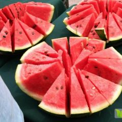 甜王西瓜价格基地批发