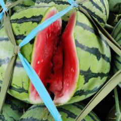 大量供应有籽8424西瓜，有籽美都西瓜