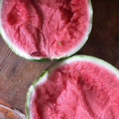 河南夏邑8424大量上市了