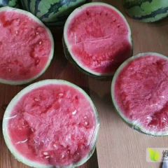 精品8424.美度.麒麟西瓜