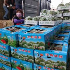 夏邑县8424西瓜，美都西瓜、保质保量、不熟包退。