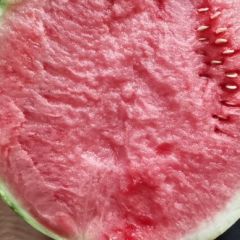 河南省夏邑县8424西瓜！美都西瓜