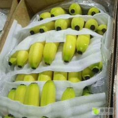 本人代理香蕉多年，从事巴西香蕉一级货，中上货