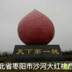 湖北枣阳大量出售油桃 湖北枣阳中国桃之乡