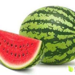 南乐县批发大量甜王西瓜