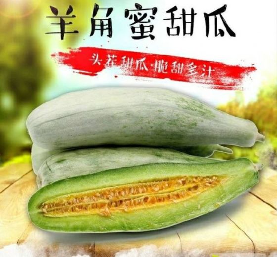 2020年山东滨州羊角蜜价格
