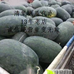 2023河南周口太康西瓜值得出手，保证最低价