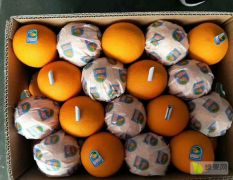 埃及脐橙橙子30斤原箱批发江南市场新鲜当季进口甜