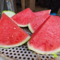 8424西瓜大吨位供应中