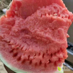 精品麒麟西瓜美美哒