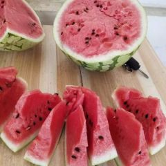 河南通许县 8424 美都 长花瓜 龙卷风 甜王