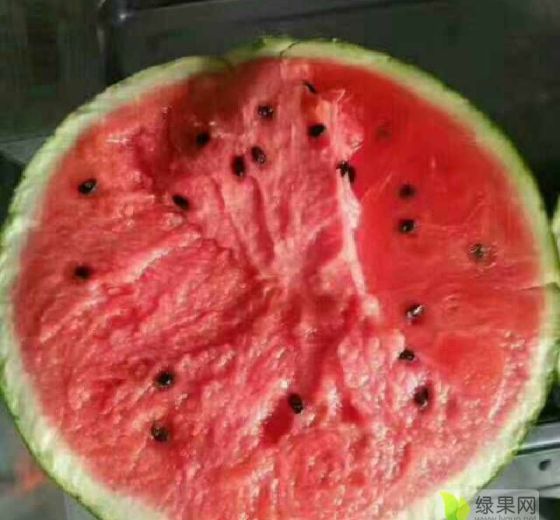 甜王系列价格