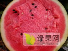 甜王系列价格