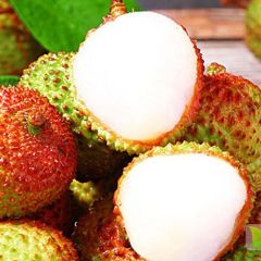 广东阳江妃子笑、白糖罂5.22开始上市