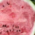 8424、美都、甜王大量上市