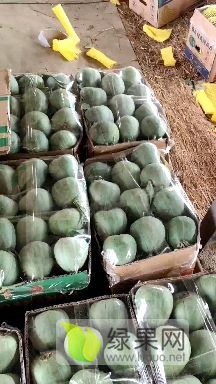 绿宝石口感，皮薄香脆多汁，甜如蜜。