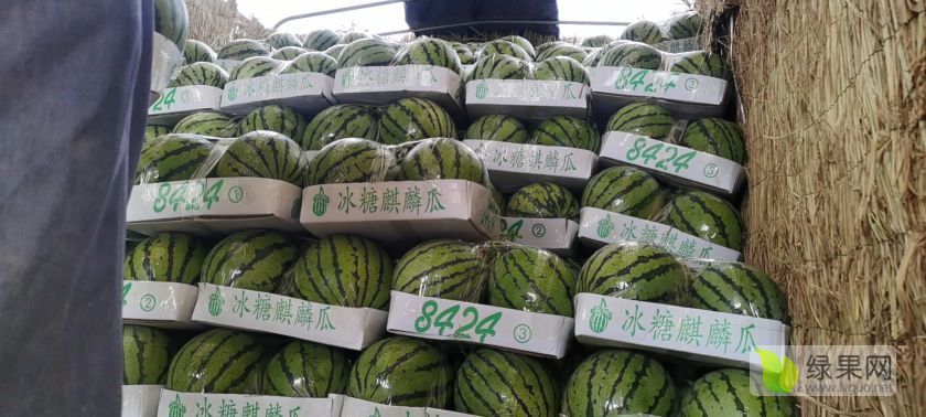 2020年河南通许美都价格