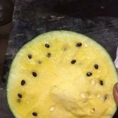 陕西特小凤小兰瓜大量上市小兰花价格