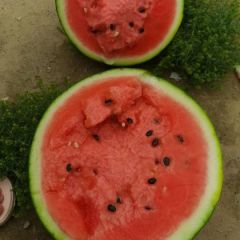 保定清苑新农人5月甜王西瓜