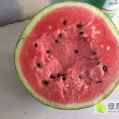 蒲城自家种的西瓜直销