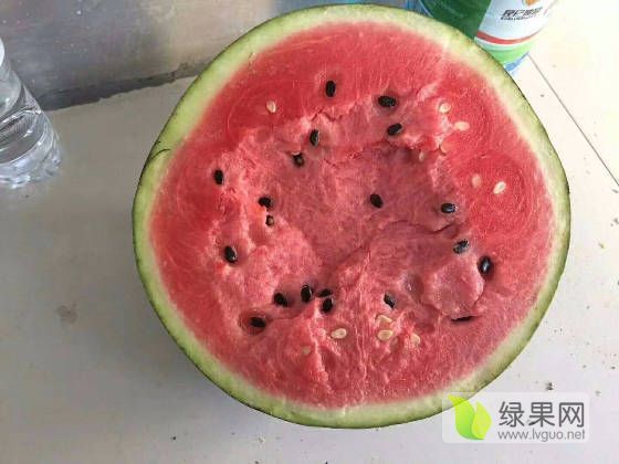 甜王系列价格