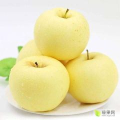 金帅苹果处理产地新疆