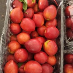 宁夏四季鲜油桃毛桃代办代销