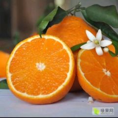 农户直销，无代办