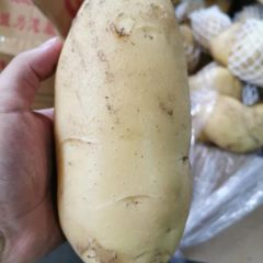 滕州土豆原产地供应，物美价廉