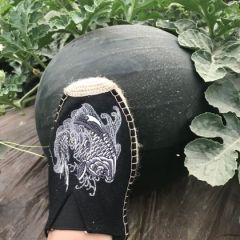 陕西黑无籽西瓜大量供应中