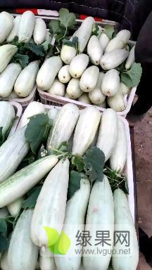 羊角脆量大质量好，交通便利