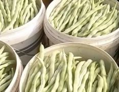 山西应县南上寨五银农产品批发市场
