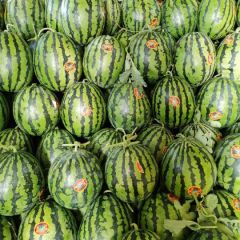 商丘睢阳精品甜王已经大量上市