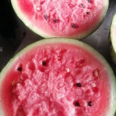 2020商丘睢阳西瓜大量上市