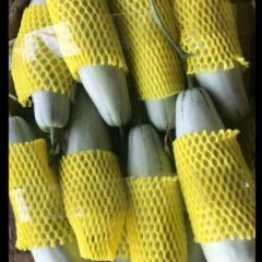 惠民县甜瓜大量上市！便宜了