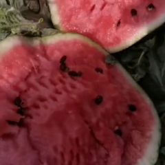 河南省商丘市睢阳区李口西瓜之乡